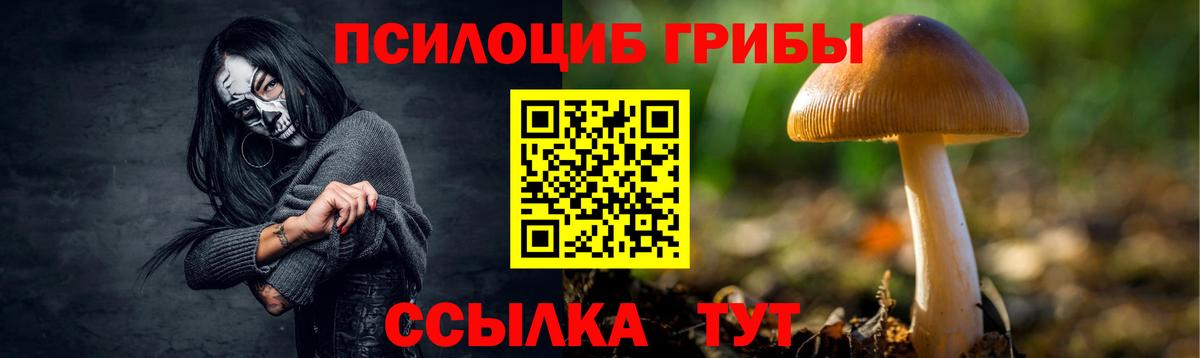 Галлюциногенные грибы прущие грибы  Вход с VPN  Нальчик 